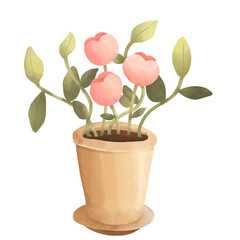 Cute boy surprise happy birthday in gift box with happiness