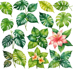 Naadloos Fotobehang Airtex Tropische planten Set of Tropical Botanical Floral Leaf Watercolor Illustrations, Isolated on Transparent Background for Design Elements. AI Generetive.