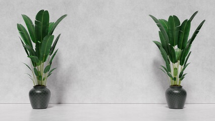 Ornamental plant in vase on light background against wall, interior design, place for text, mockup for design. 3d render
