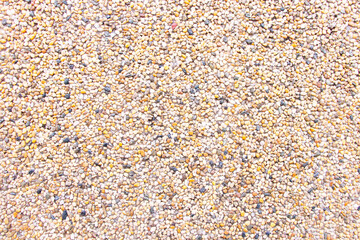 Background abstract or texture of pebbles small or gravel color yellow, orange attached with...