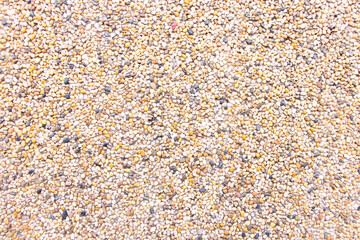 Background abstract or texture of pebbles small or gravel color yellow, orange attached with beautiful cement concrete. Natural pattern used to make wallpaper website along walls of houses, building.