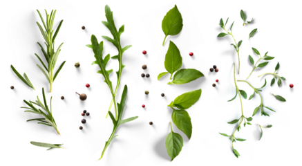 fresh mediterranean herb and spices with real transparent shadow isolated on transparent background. PNG Food background design element