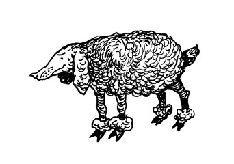 Poodle sheep vector print black and white animals funny cartoon fantasy
flat vintage