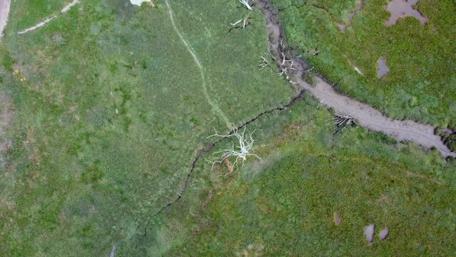 Porlock marsh from the air somerset england uk 