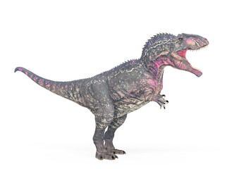 giganotosaurus is walking on white background side view © DM7