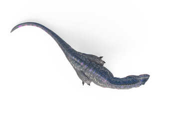 giganotosaurus is lying down and resting on white background top view © DM7