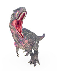 giganotosaurus is running on white background front view © DM7