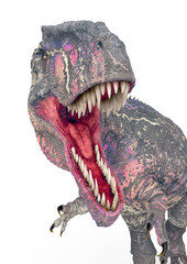 giganotosaurus in action on white background close up view © DM7