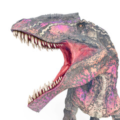 giganotosaurus is angry on white background close up view © DM7