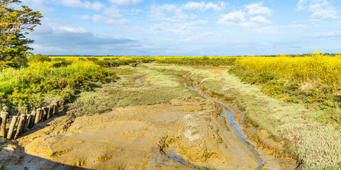 Mud flat at low tide in the salt marshes of the natural reserve of Lilleau des Niges on the Ile de...