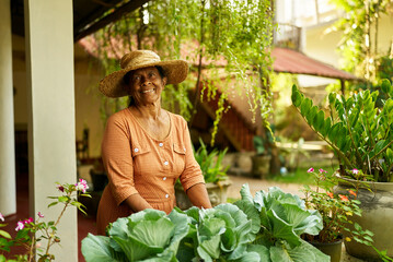 Senior Indian female farmer in hat taking care of cabbage plants in garden. Elderly Sri Lankan...