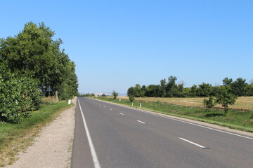 A road with trees and grass
