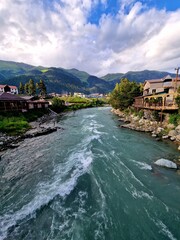 The course of a mountain river, a coniferous green forest in summer. Vertical photo. Arkhyz,...