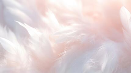 Airy soft fluffy wing bird with white feathers, macro - obrazy, fototapety, plakaty