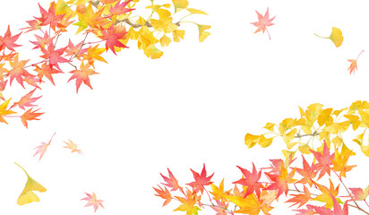 秋に色づいた紅葉とイチョウの水彩イラスト。秋をイメージしたフレームデザイン。 - obrazy, fototapety, plakaty