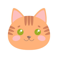Cute cat face. Illustration on transparent background