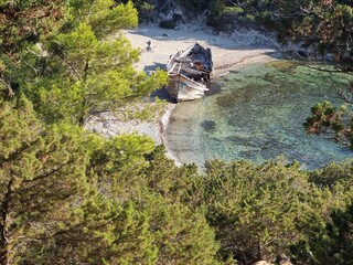 shipwreck on the beach of agalypa of skyros in greece pine trees clear transparent water in the sea