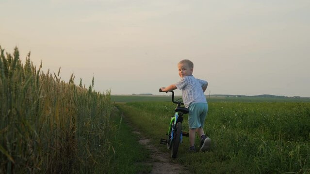A cute little blond boy of 5 years old walks through a green field during sunset with his bicycle. A happy boy rolls his new bike, turns around and looks at the camera. Happy boy with a bicycle. 4K