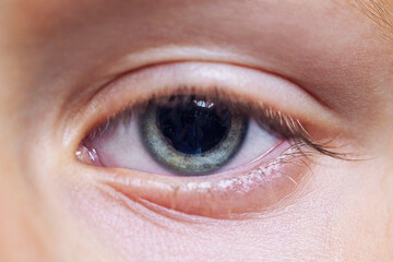 Fototapeta premium The blue eye of a child. Sadness and longing. Vision and health care. Close-up.