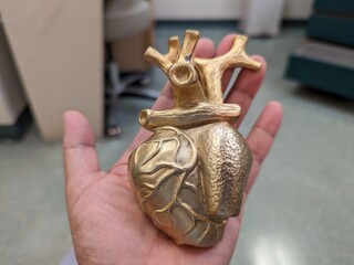 A golden heart on the palm