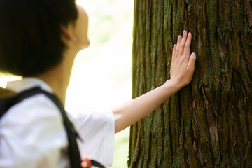 見上げながら木を触る若いアジア人女性/ヒーリング