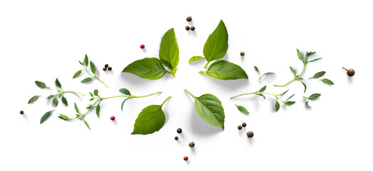 Collection of fresh herb leaves. thymeand basil Spices, herbs on a white table. PNG Food background design element with transparent shadow on transparent background.
