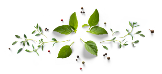 Collection of fresh herb leaves. thymeand basil Spices, herbs on a white table. PNG Food background design element with transparent shadow on transparent background.