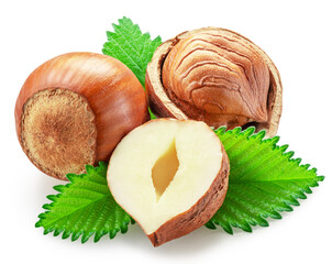 Hazelnuts, hazelnut kernel and green leaves on white background. Full depth of field. Clipping path.