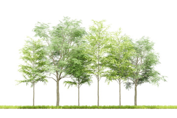 Cutout of green trees on transparent background, png plant, 3d render illustration.
