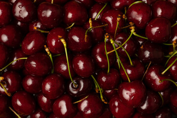 Close-up of ripe red cherries