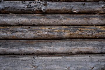log background, the wall from the wooden logs