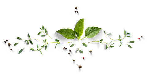 Collection of fresh herb leaves. thymeand basil Spices, herbs on a white table. PNG Food background...