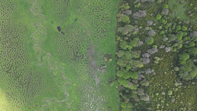 Karagol Plateau is a plateau within the borders of Taraklı district of Sakarya province.