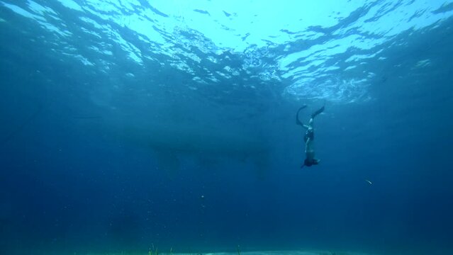 free diving boat beach sand ibiza mediterranean sea curious fish