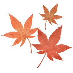 三枚の赤色のもみじのイラスト
