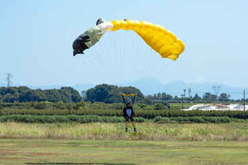 Stunning view of a skydiver with a yellow parachute landing on a green lawn during a sunny day.