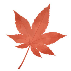 赤いもみじのイラスト
