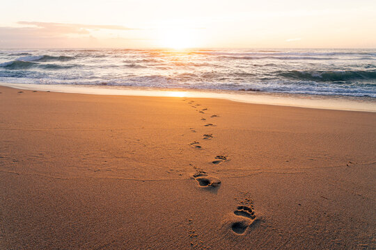 Footprints on the sand of a beach at sunset