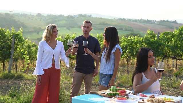 Adult people cheering with red wine outdoor - Diverse friends having fun during pic nic with wineyard in the background during summer time
