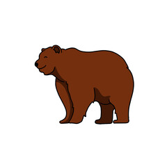 illustration of brown bear