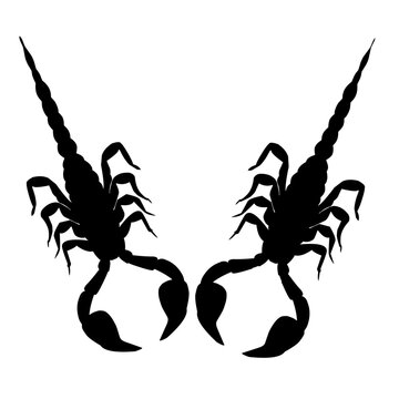 Scorpion Silhouettes 