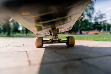 Close-up of a skateboard that rides on a path in a public park view from below the concept of...