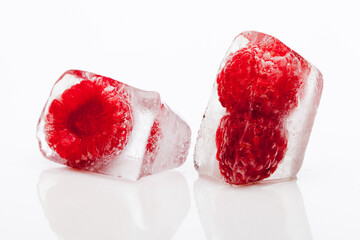 Frozen Fruit Art Project