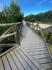 Obraz premium footpath to the sand beach Platja de Muro, Mallorca, Spain,