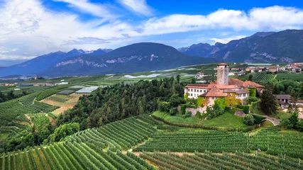 Foto op Plexiglas Medieval beautiful castles of northern Italy  - scenic Valer castel amongst the apple trees of Val di Non. Trentino region, Trento province.  Aerial drone panoramic view © Freesurf