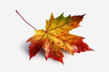 Single small Autumn leave clipart vector with white background