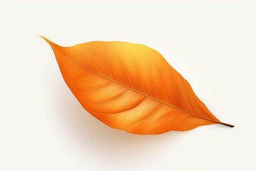 Small orange color Leave Clipart vector White background