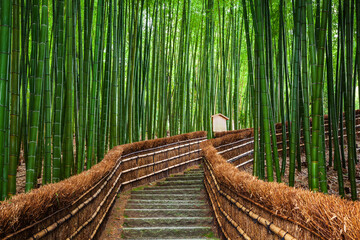 Path to bamboo forest, Arashiyama, Kyoto, Japan. - obrazy, fototapety, plakaty