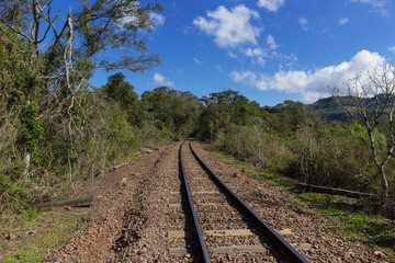 Fototapeta premium Wheat Railroad. Railway in the south of Brazil in the Taquari Valley in Rio Grande do Sul.