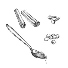 Vector hand-drawn set of classic seasonings and spoon with powder isolated on white. Sketch of cinnamon sticks, peppercorns and clove buds with ground spices. - 629593476